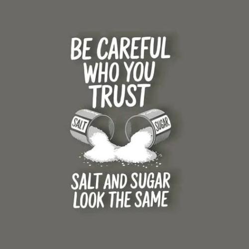 490756840_1127343636074629_3348598068151080888_n