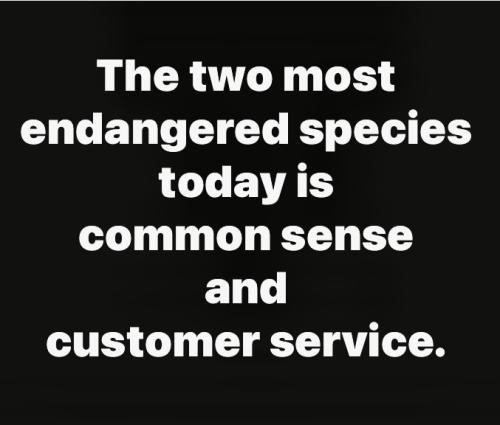 96daeaf3-0a58-4680-a4e6-03e46337b484