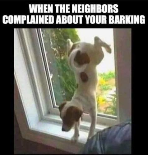 FB_IMG_1748865703498