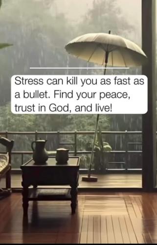 508828039_122259258950023788_6978023600590243802_n