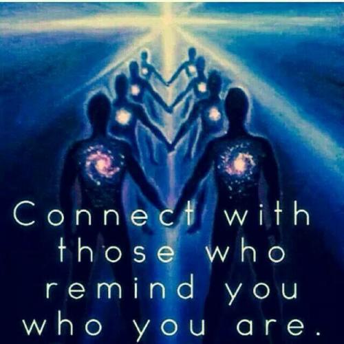 b240fc6a040a3329fbead2b50c441e61