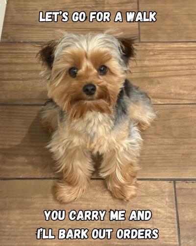 FB_IMG_1750611842429