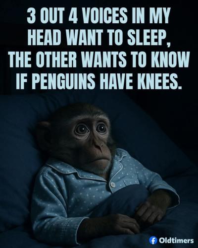 20250602_204509