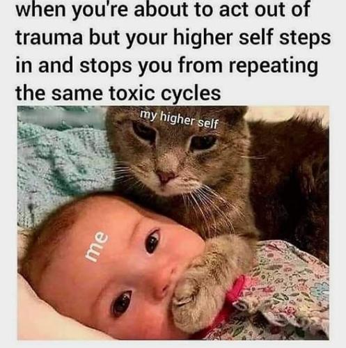 506646593_4189120284747698_3832538314487503747_n