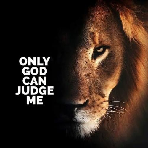 dd0934a0c8a6c27a3d77e0d0e3990399