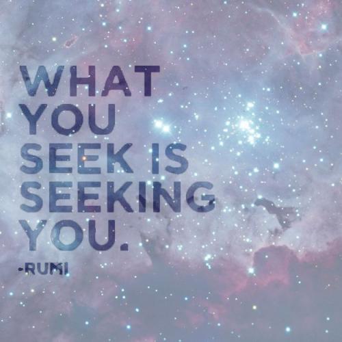 746302f6ea403f5889ef14cffff605fe