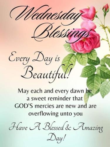 503838723_726785096522506_1394860984037015838_n