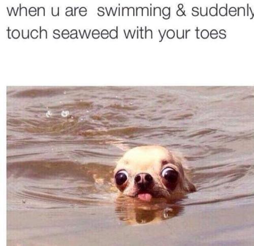 Screenshot_20250627_070603_Gallery