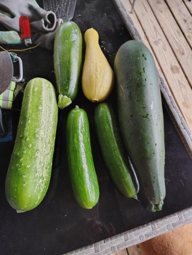 IMG_20250626_094934313_HDR