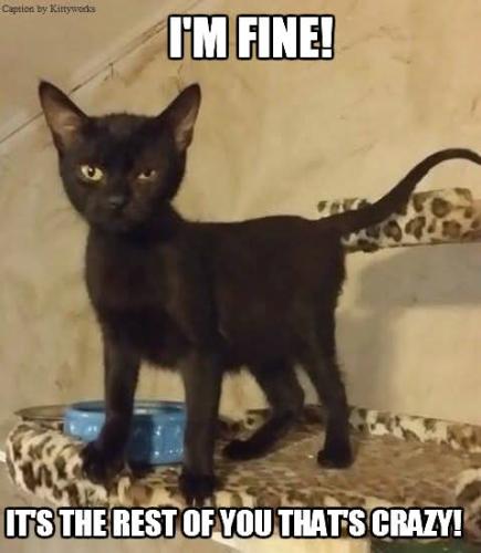 FB_IMG_1750620029839