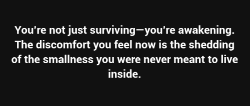Screenshot 2025-06-27 11.41.11 AM