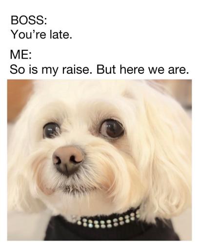 FB_IMG_1750620110249