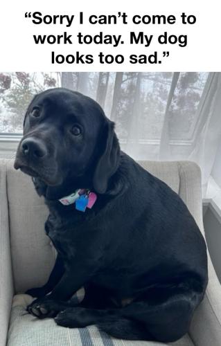 FB_IMG_1749568408721