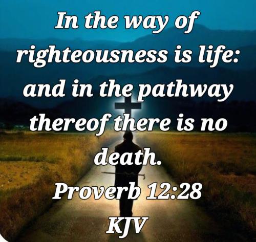 1776d6f5-109d-4956-bba3-f56139d9efc1