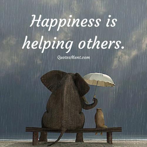 ac7ea3c0d254be8b79d5a65e646453c3