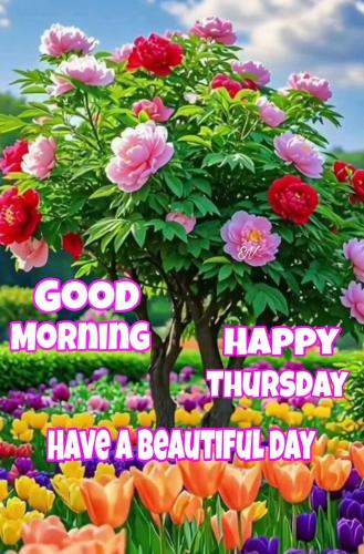 FB_IMG_1750326026087