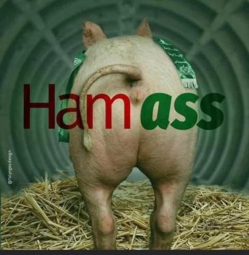 4fa26b2a-5e8b-40ce-9530-a24a8a78e09e