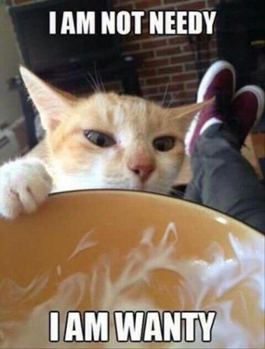 f58f113ce9e4ba536b27c82bc16b85ce