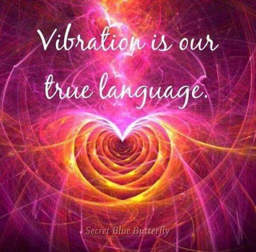 bb993ba5daa234b51105ff0470e1a4a8