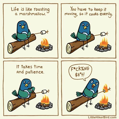 Life is like roasting a marshmallow..