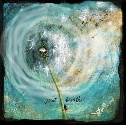 490544994_1092070076296169_6799284422223921923_n