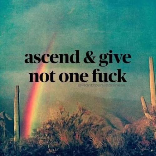 508005663_10171824950200344_546145181498263807_n