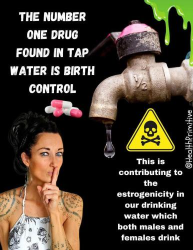 499272648_678504784937136_3302104235668450355_n