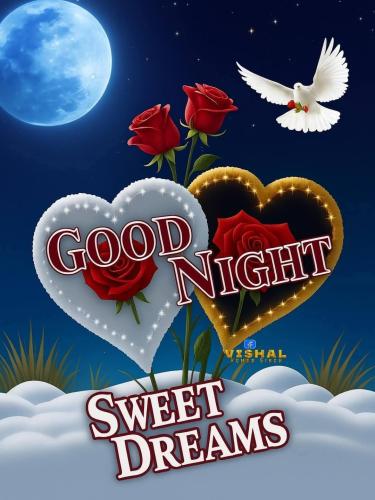 FB_IMG_1749496542389