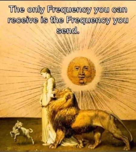 509880272_4118998034998426_6561581603775186861_n