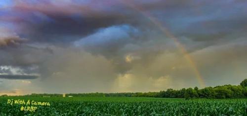 Screenshot_20250601_084120_Brave