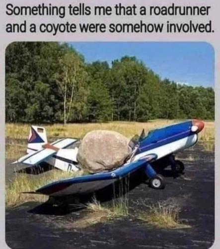 Road runner and coyote plane
