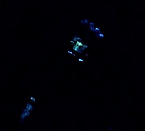 PicsArt_09-25-08.13.10