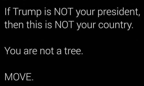 035c635ec3deda3d5ce3fa302e811ef8