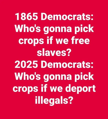 image_2025-06-27_063057084