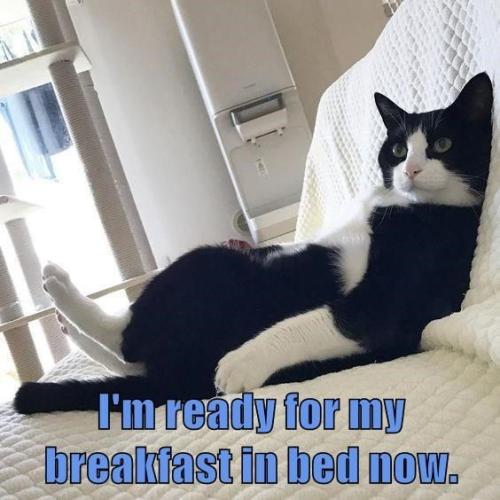 0bd4b6ae6707b0cfac835ef123fc1bdd