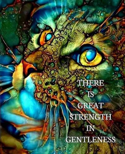 510848780_1545962319846917_5919735090350412772_n