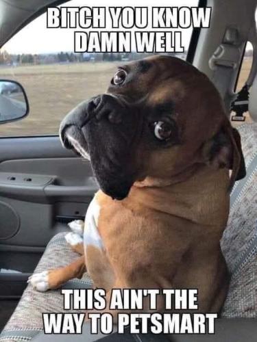 FB_IMG_1750181976012