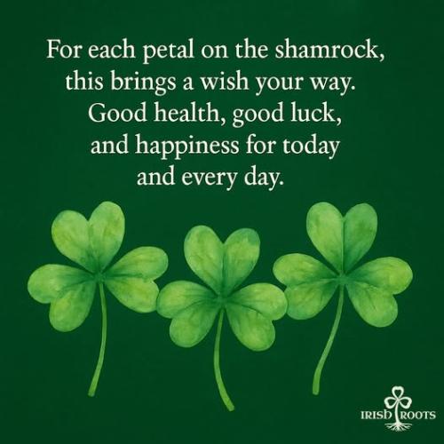 508424478_1035035685274423_8124791608950356108_n