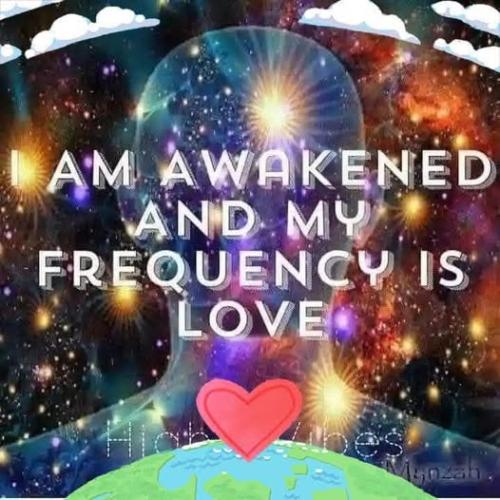 488567078_4586015948291505_3433051107283798753_n