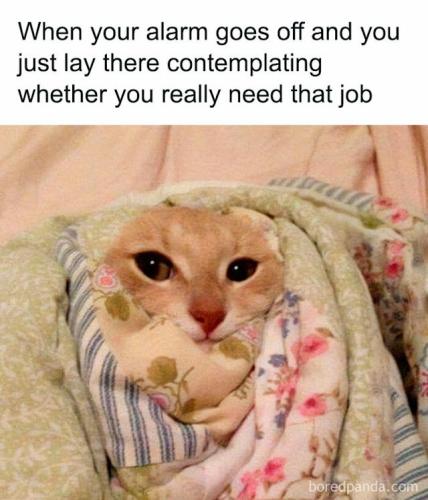 1f248ff4f9c746e8233ef736d81bedfe