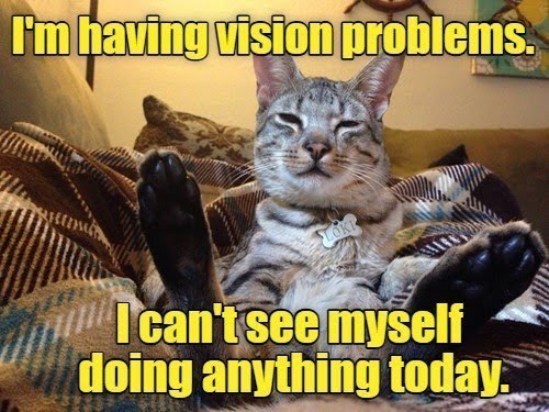 having-vision-problems-loki-cant-see-myself-doing-anything-today