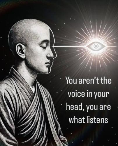 509510557_24166339772952244_1581206912073239226_n