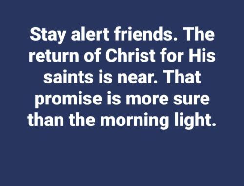 11a41f65-4d8b-4681-9c24-1044e3f3ded0