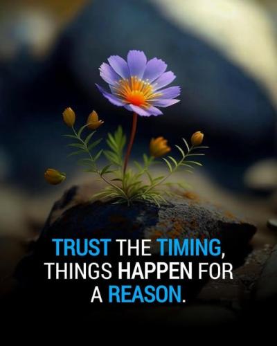 505818854_1012504004377095_3335005605301599596_n