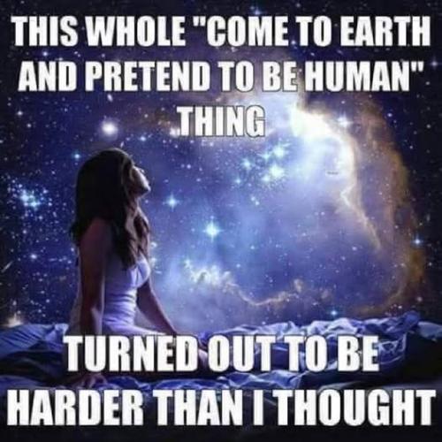 513808052_734105476172314_5043347305177827638_n