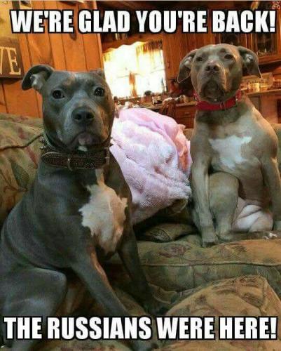 FB_IMG_1750498654090