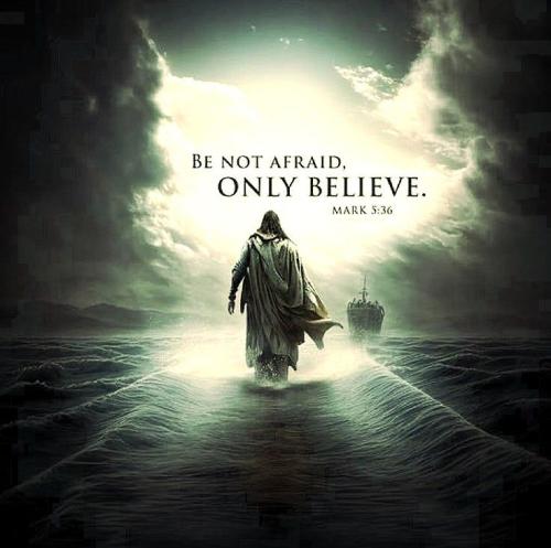 cc6d559fea35910a0c04fd385c012eee