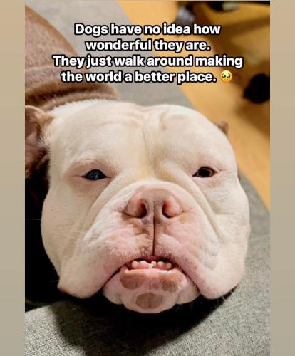 FB_IMG_1749198956162