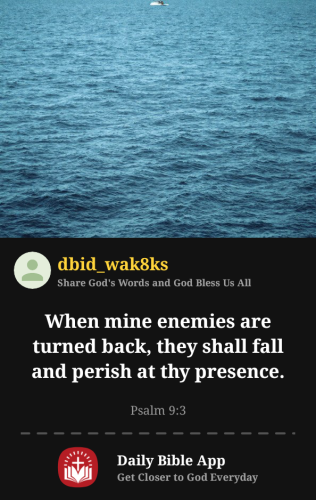 2025-06-071749352470233