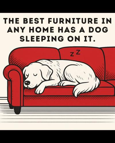 FB_IMG_1749934317205